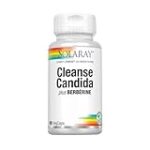 Análisis y Comparativa de Yeast Cleanse Solaray: El Mejor Suplemento Natural para la Salud Digestiva