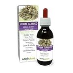 Liquen de Islandia: Comparativa de los Mejores Suplementos en Parafarmacia para Fortalecer tu Sistema Inmunológico