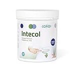 Análisis Comparativo de Intecol Glutamina: ¿Es el Suplemento Ideal para Potenciar tu Rendimiento?